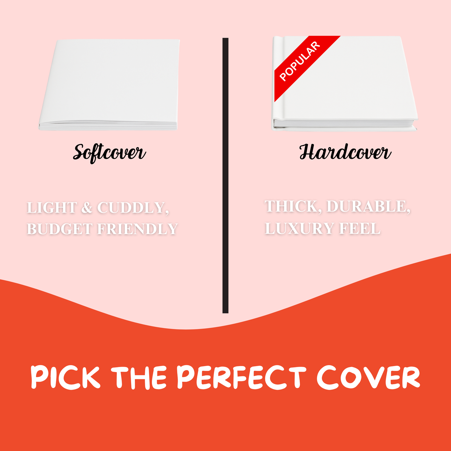 Birthday Picnic (Interactive Book)